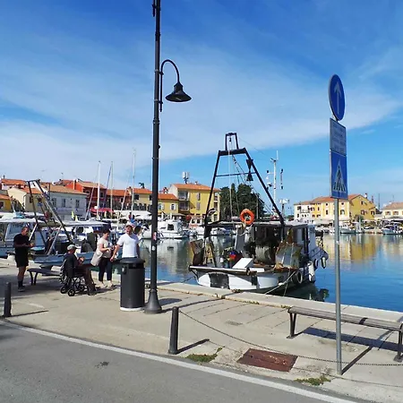 In 5745 * דראמליי